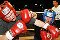 Knock Out DVIDS200073.jpg