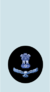 IAF JWO Shoulder.png