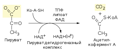 Pyruvate decarboxylation ru.svg