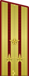 Полковник внг парадка.svg