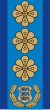 Estonia-Police-Politseikindral.svg