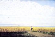 Steppes. Field (Kuindshi).jpg