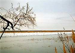 Предзимье в нижнем течении Сырдарьи