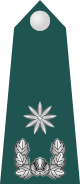 13.SKA-MAJ.svg