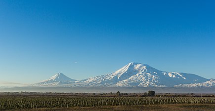 Вид на Арарат с Араратской равнины, Армения