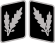 SS-Oberführer Collar Rank.svg