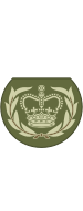 British Army OR-8b.svg