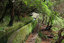 Levada Madeira.jpg