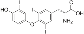 Трийодтиронин (T3, pictured) наряду с тироксином один из основных гормонов щитовидной железы.