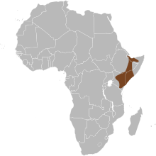 Phacochoerus aethiopicus map.svg