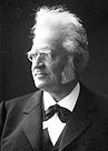 Bjørnstjerne Martinus Bjørnson.jpg