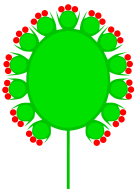 Doppelkoepfchen (inflorescence).svg