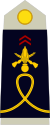 Army-FRA-OF-00.svg