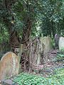 HighgateCemeteryLondon5.jpg