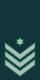 IDF Ranks Ranag.svg