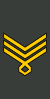 Georgia-Army-OR-9b.svg