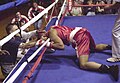 SingletonBox-knockout.jpg