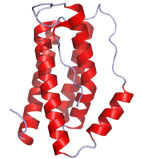 IL6 Crystal Structure.rsh.png