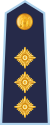 14.LVAF-COL.svg