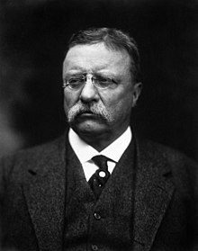 T Roosevelt.jpg