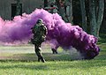 Purple smoke grenade.jpg