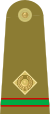 08.Pakistan Army-CWO.svg