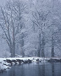 Nerussa river.jpg