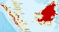 Sunda-Clouded-leopard distribution.jpg