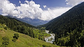 Pahalgam Valley.jpg