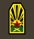 нарукавный знак 1922