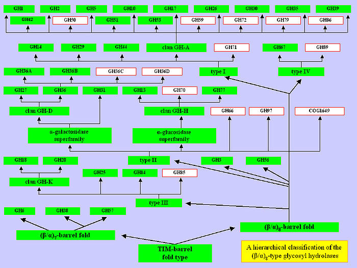 GH classification.jpg